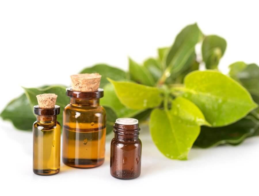 Comment utiliser l'huile essentielle de ravintsara ? 