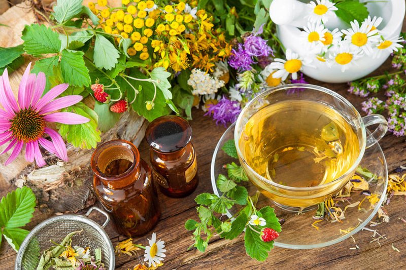 Plusieurs approches complémentaires en naturopathie